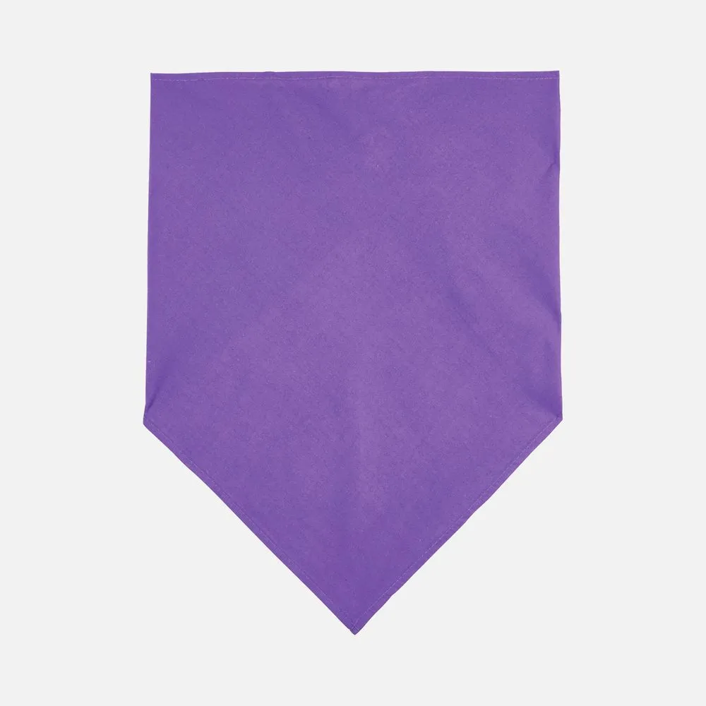 Шейный платок Bandana