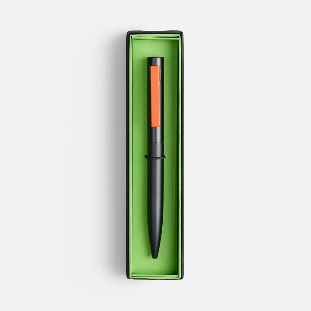 Ручка шариковая Inkolor в футляре